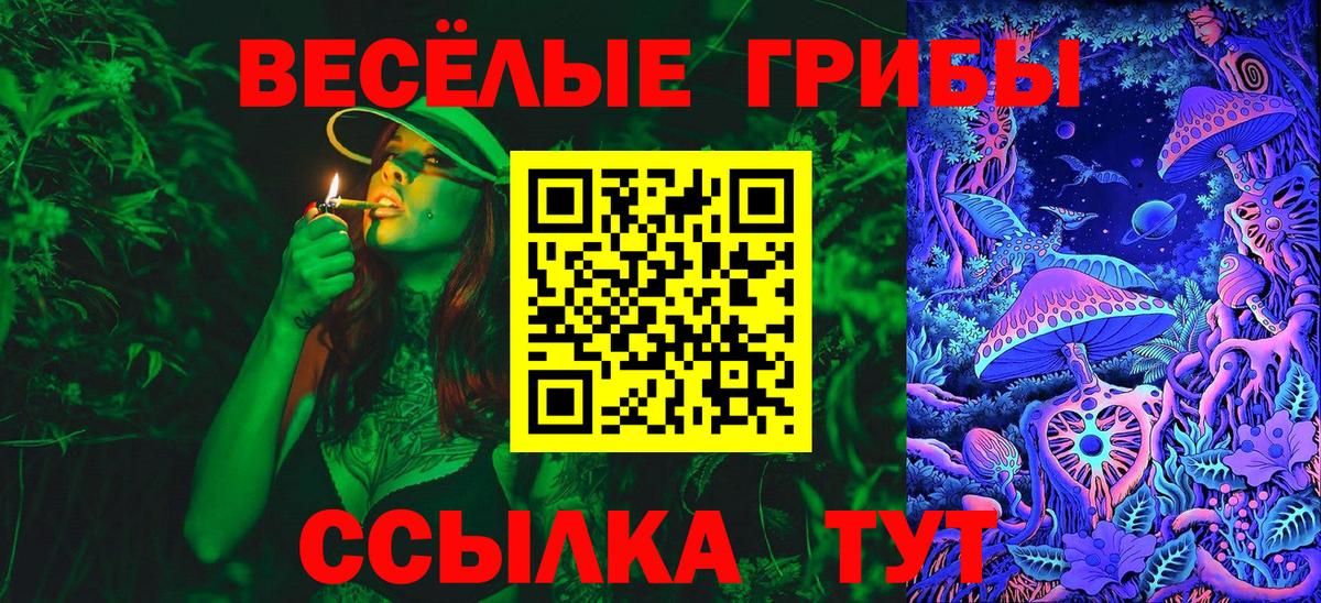 Галлюциногенные грибы прущие грибы Новоалтайск